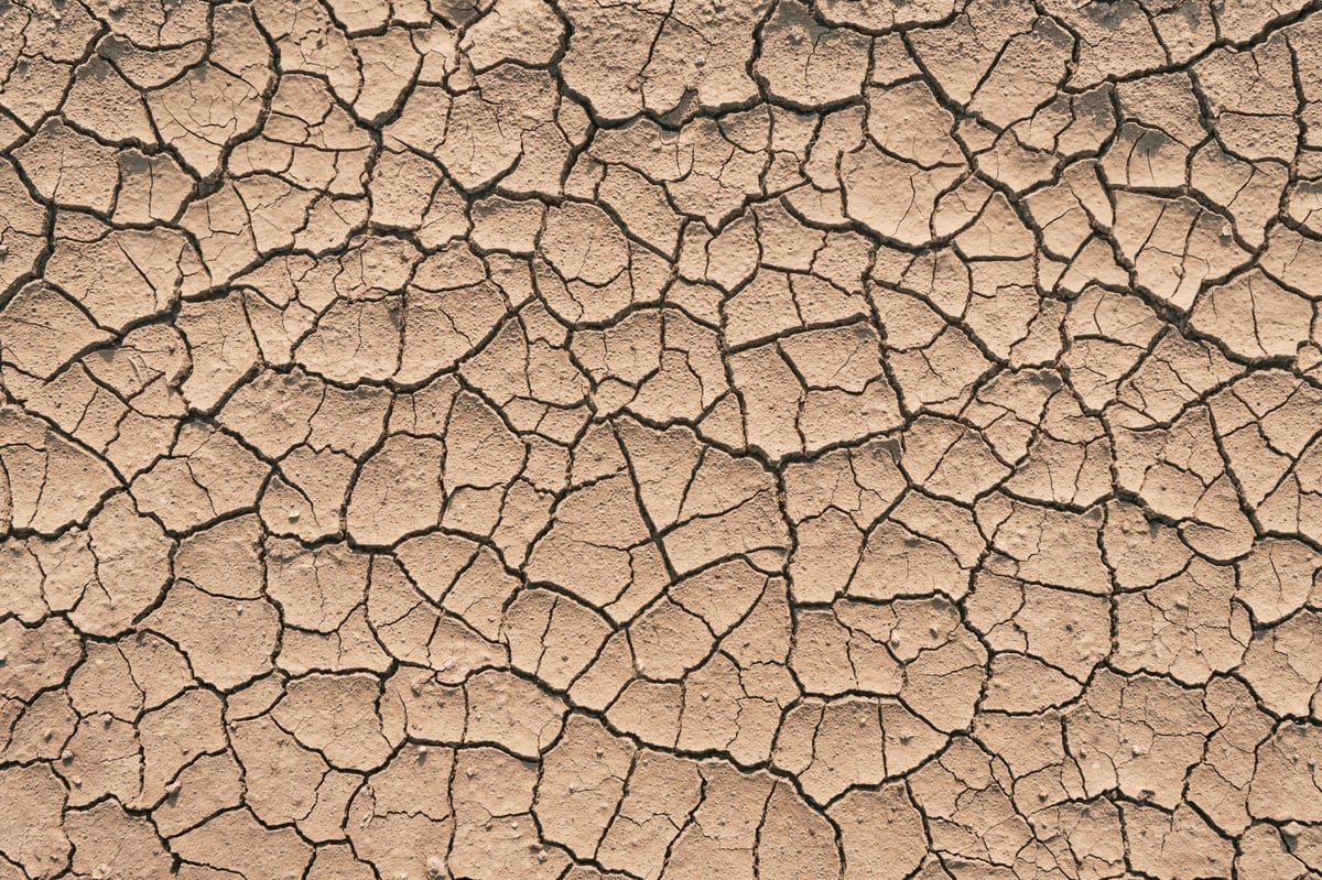 Climate drought and foundation damage